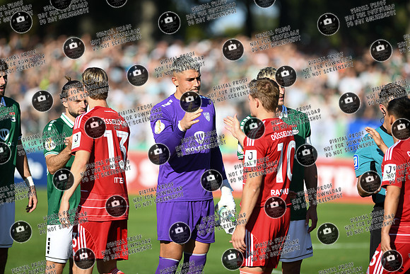 20250818_FC05-F95_DFB_re-064
