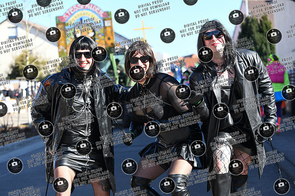 20250302_Sander_Faschingszueg_re-035