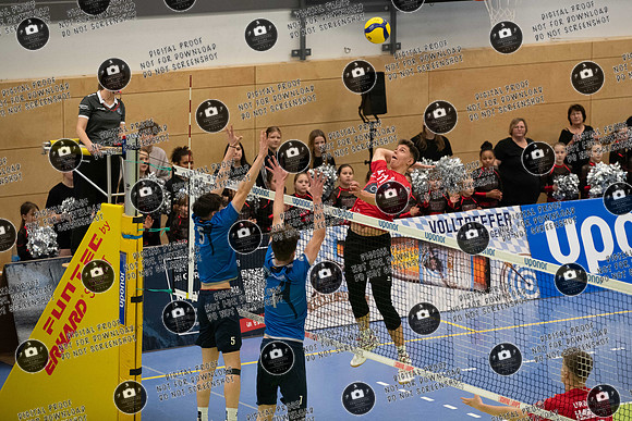 20250126_VCE-YSF_re-016