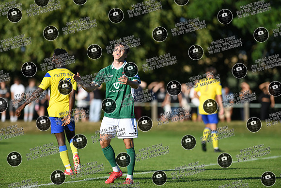 20250628_TSVG-FC05_re-113