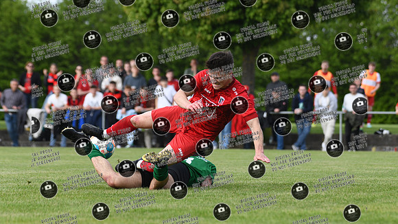 20240504_Schwebenried-Fuchsstadt_re-090