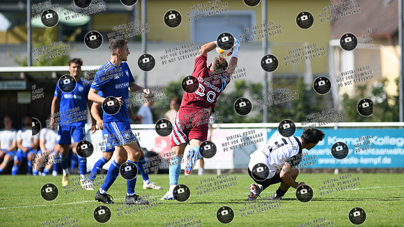 20250831_TSVG-FCS_re-069
