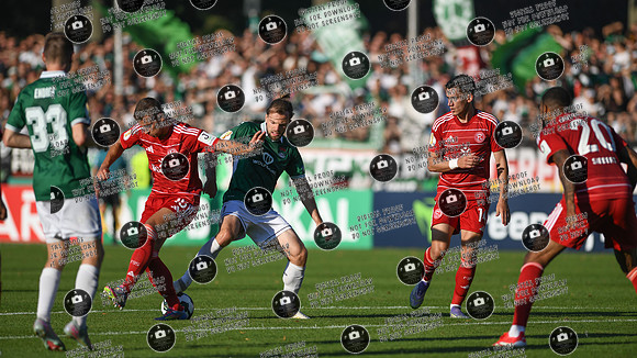 20250818_FC05-F95_DFB_re-172