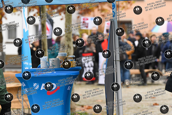 20241114_Afd_Protest_Sand_re-4