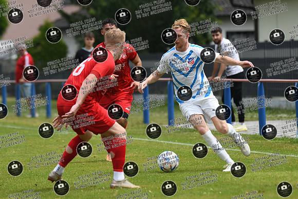 20240629_Dampfach-Schonungen_TS_re-027