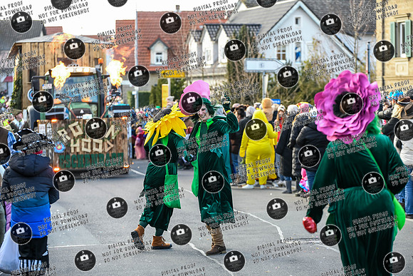 20260215_Faschingumzug_Sand_re-343
