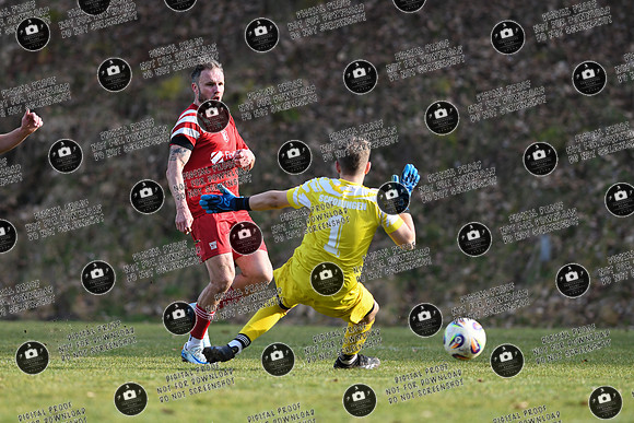 20260308_SCTT-TSVS_re-018