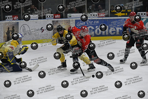 20260308_Hassfurt-Germering_playoff_re-039