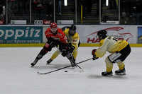 20260308_Hassfurt-Germering_playoff_re-086