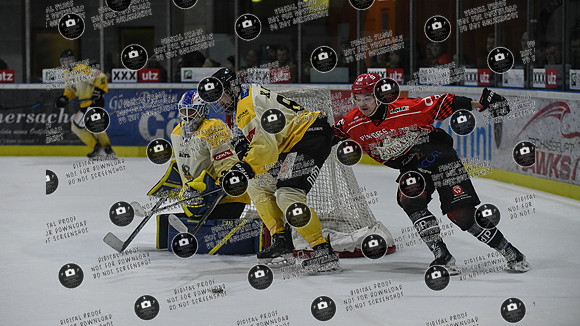 20260308_Hassfurt-Germering_playoff_re-091