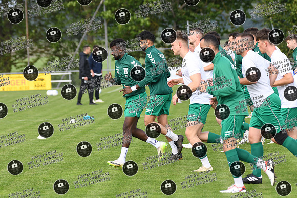 20240529_TSV-WFV_Relegation_re-001