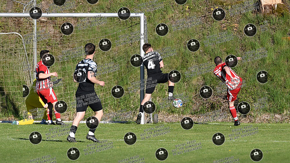 20260423_Hermannsberg-Schonungen_re-014