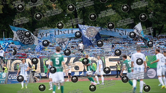 20260801_FC05-1860_re-195