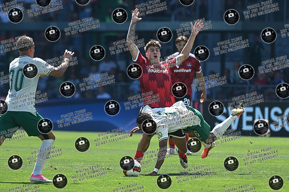 20260815_SpVgg-FCN_re-520