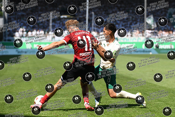 20260815_SpVgg-FCN_re-217