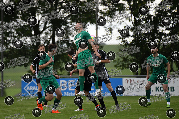 20240529_TSV-WFV_Relegation_re-045