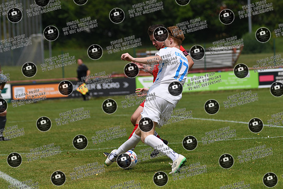 20240629_Dampfach-Schonungen_TS_re-006