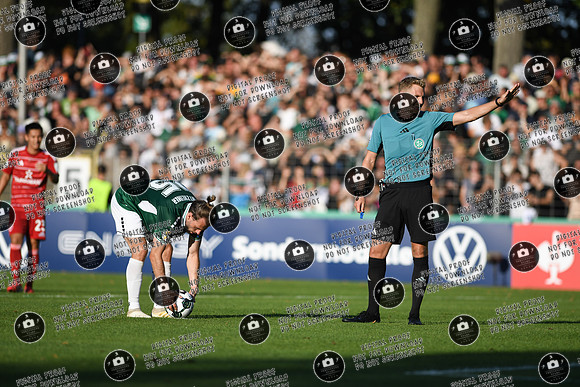 20250818_FC05-F95_DFB_re-195