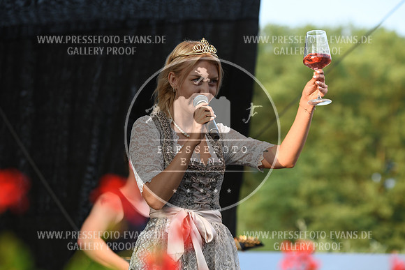 10.07.2023_Sander_Weinfest_re-055