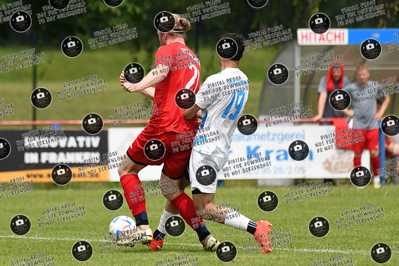 20240629_Dampfach-Schonungen_TS_re-030