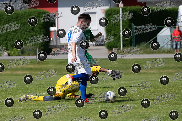 20240512_Spfr-FCK_re-234