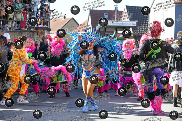 20250302_Sander_Faschingszueg_re-194
