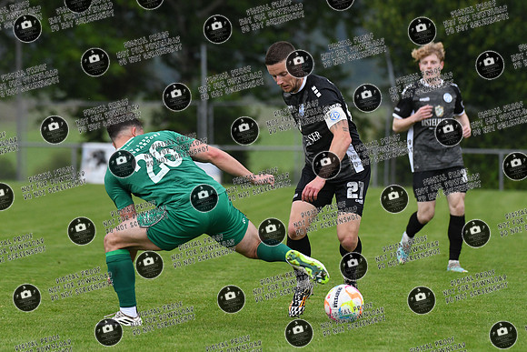 20240529_TSV-WFV_Relegation_re-135