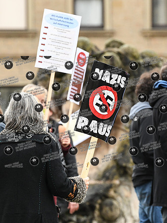 20241114_Afd_Protest_Sand_re-6