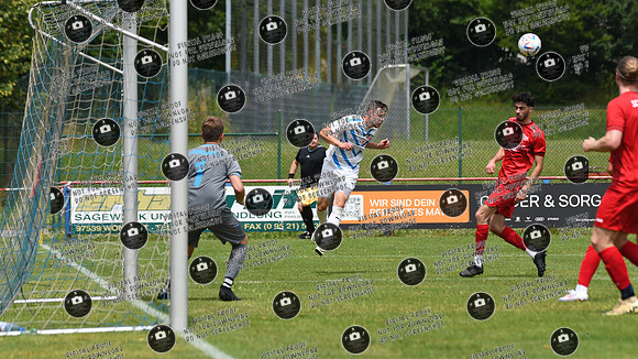 20240629_Dampfach-Schonungen_TS_re-011