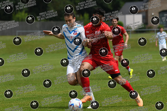 20240629_Dampfach-Schonungen_TS_re-009