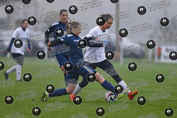 20241110_Rossstadt-PSV_re-0041