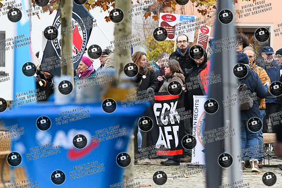 20241114_Afd_Protest_Sand_re-2