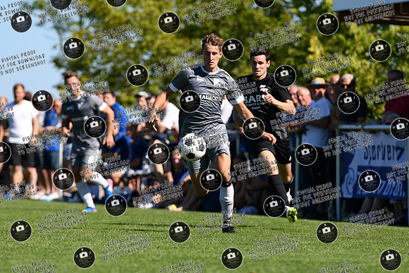 20240728_SVF-TSV_re-006