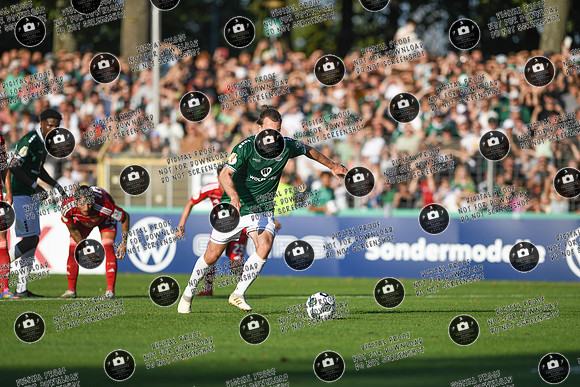 20250818_FC05-F95_DFB_re-200