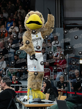 20250223_DBB-BUL_re-335