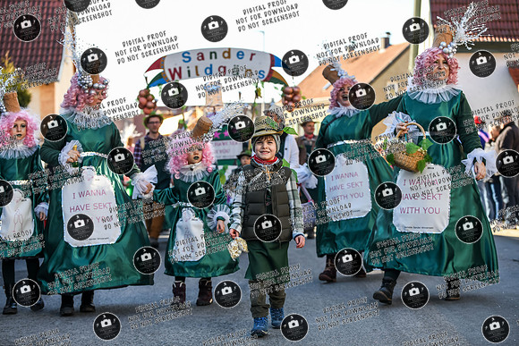 20250302_Sander_Faschingszueg_re-180