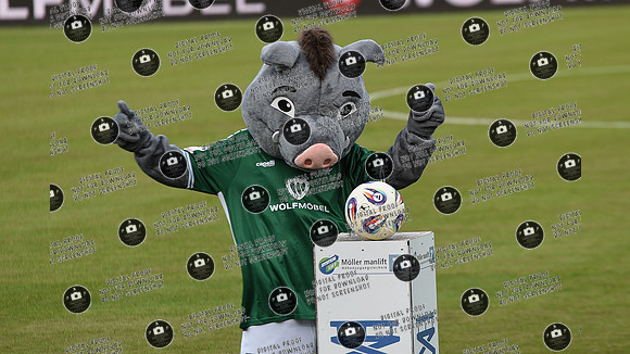 20250808_FC05-Cottbus_re-730