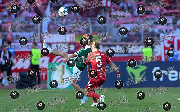 20250818_FC05-F95_DFB_re-136