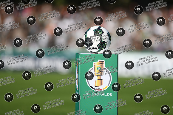 20250818_FC05-F95_DFB_re-042