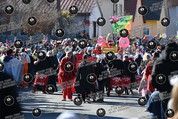 20250302_Sander_Faschingszueg_re-114