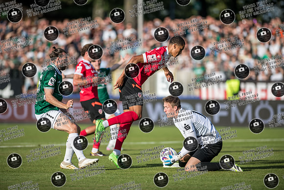 20250808_FC05-Cottbus_re-049