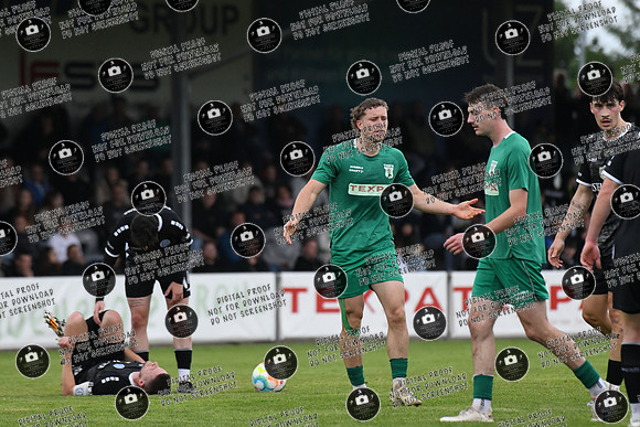 20240529_TSV-WFV_Relegation_re-179