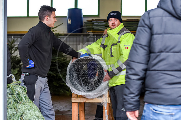14.12.2019_FWFKnetzgau_Christbaumverkauf_re-022