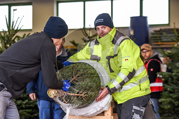 14.12.2019_FWFKnetzgau_Christbaumverkauf_re-044
