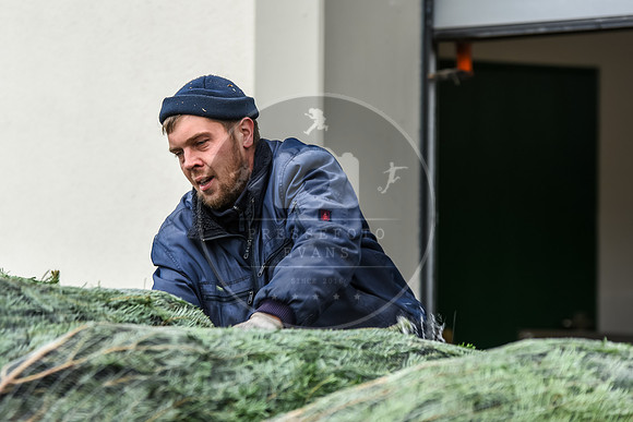 14.12.2019_FWFKnetzgau_Christbaumverkauf_re-081