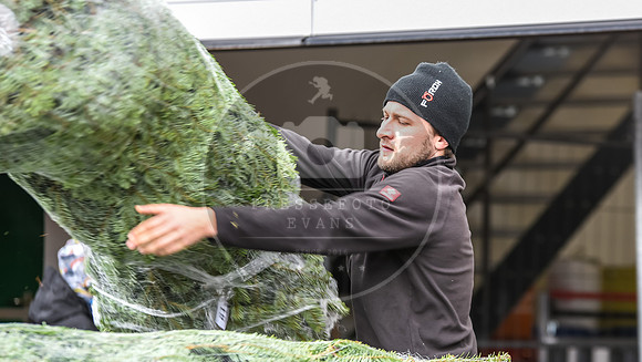 14.12.2019_FWFKnetzgau_Christbaumverkauf_re-082