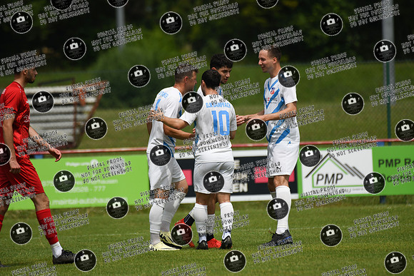 20240629_Dampfach-Schonungen_TS_re-015