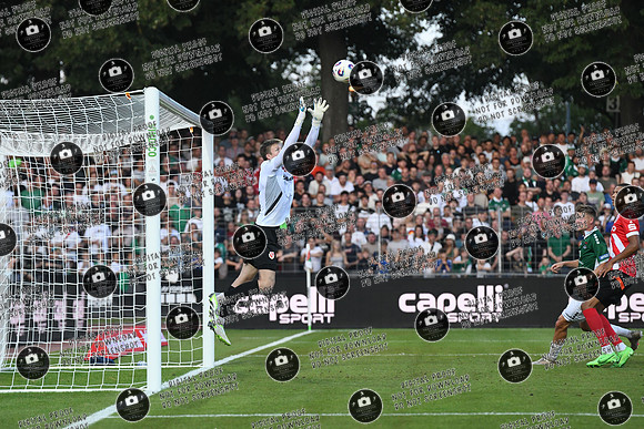 20250808_FC05-Cottbus_re-277