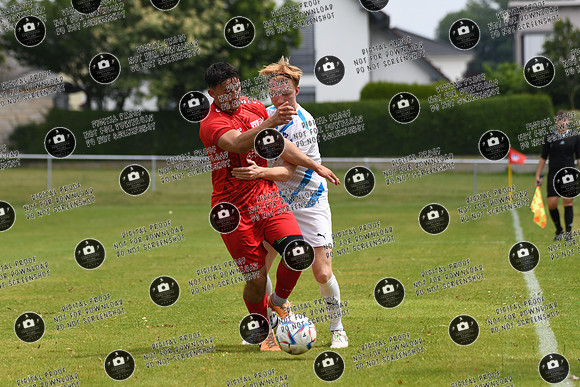 20240629_Dampfach-Schonungen_TS_re-018
