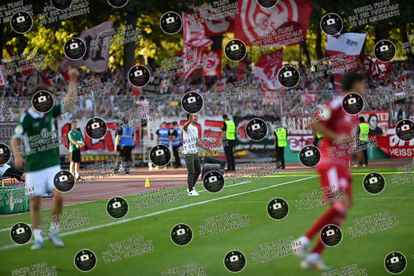 20250818_FC05-F95_DFB_re-163